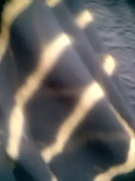 Amaya Bajwa online show from 12.15.25