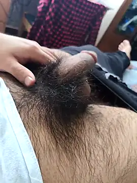 pitorico bb online show from 11.05.25