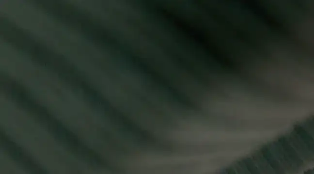 Snapshot of giselao chatting on 01.15.25 giselao online show from 01.15.25