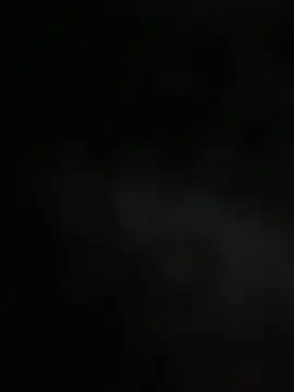 mdnn77 online show from 02.19.25