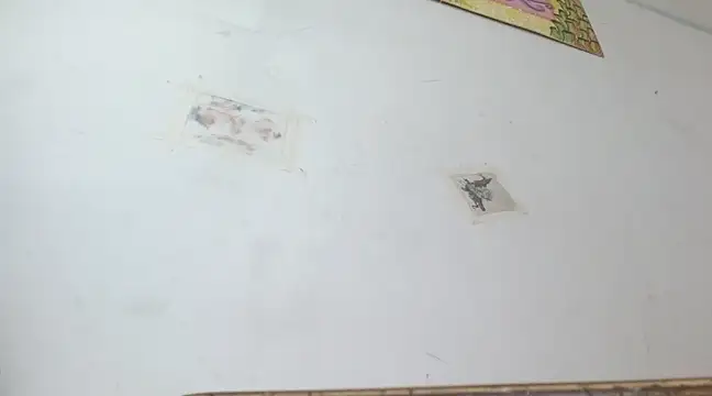 boysLittle online show from 02.14.25