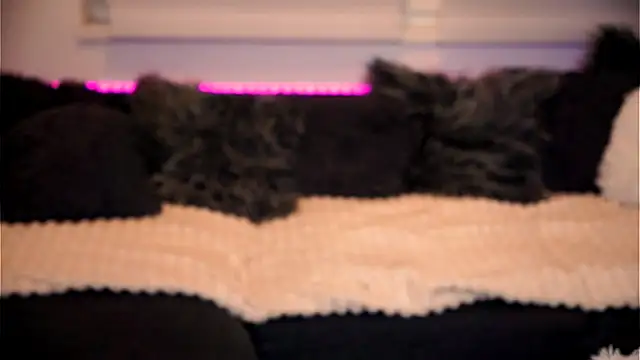 sweet rapunzell online show from 02.06.26