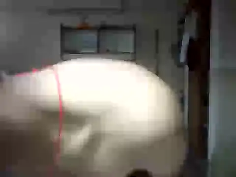 venom26 online show from 09.14.25