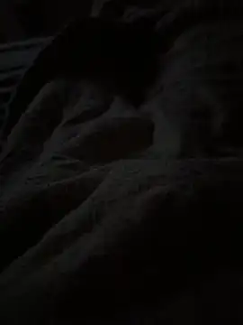 Lilymoonshow online show from 04.07.26