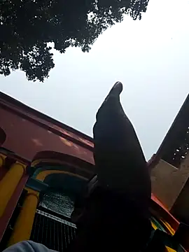 xx54362 online show from 03.01.25