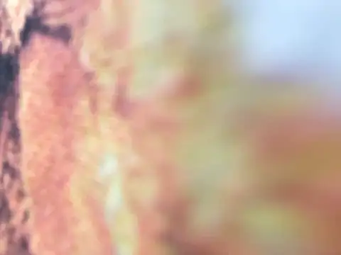 riri riri jp online show from 12.16.25