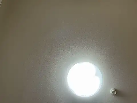 riri riri jp online show from 03.31.26