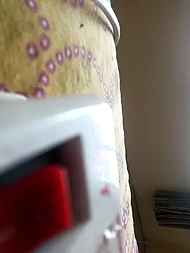 Royyy dandol online show from 02.17.26