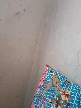 novinhatransexy online show from 11.19.25