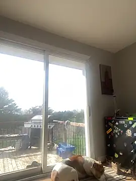 daisydukes666 online show from 04.18.26