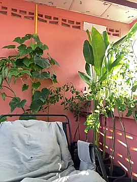 White Lu online show from 04.14.26