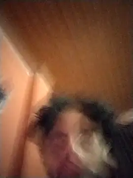 Nooneisthis online show from 02.02.25