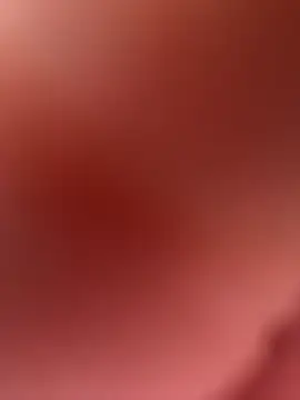 paullliliu online show from 02.26.26