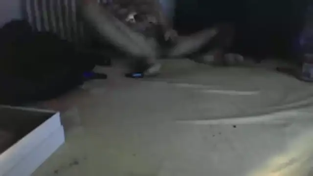 Damn bro23 online show from 01.31.26