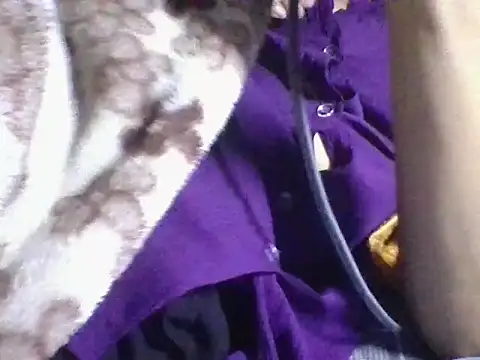 AKANSHA 7 online show from 11.01.25