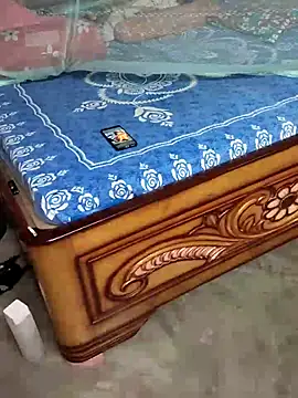 birds0641 online show from 10.08.25