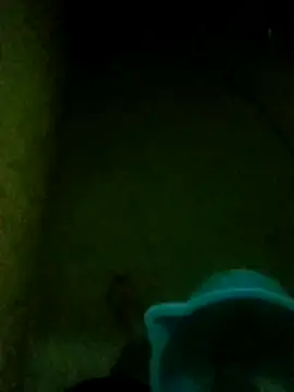 Snapshot of Night_View chatting on 11.14.25 Night View online show from 11.14.25