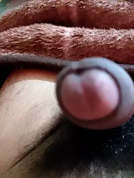 guavam65 online show from 03.03.25