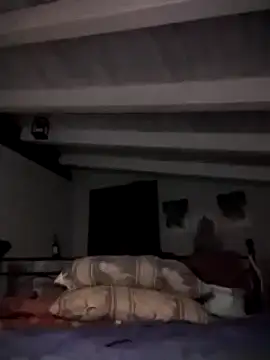 Snapshot of divinaerotica chatting on 11.02.25 divinaerotica online show from 11.02.25