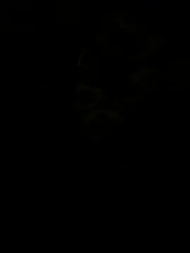 jhonnes  online show from 01.11.26