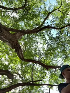 arevalo1124 online show from 12.05.25