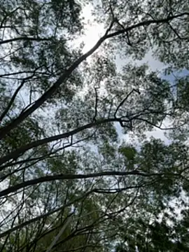 arevalo1124 online show from 12.18.25