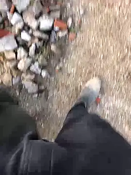 66MA69 online show from 01.31.25