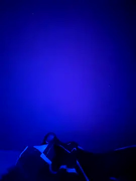 Dehtrans online show from 03.11.26