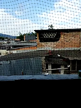 Snapshot of Niick01_ chatting on 11.09.25 Niick01 online show from 11.09.25