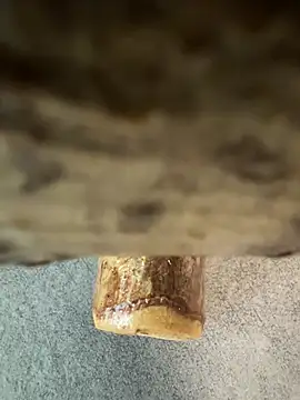 Snapshot of fuocovivo4 chatting on 01.30.25 fuocovivo4 online show from 01.30.25