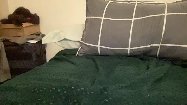 shineofcrazy online show from 11.21.25