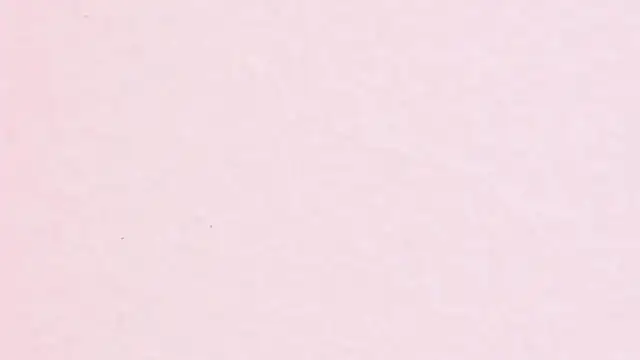 JhoanLeandro online show from 04.11.26