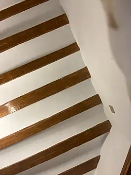 laarti online show from 12.01.25