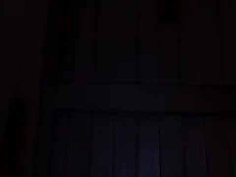 beatle666 online show from 11.07.25