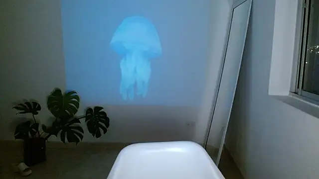 ggor4w33 online show from 02.01.25