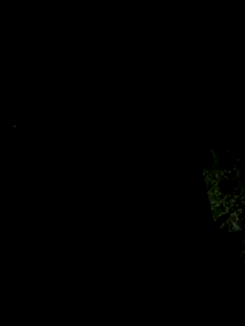 hintly online show from 10.29.25