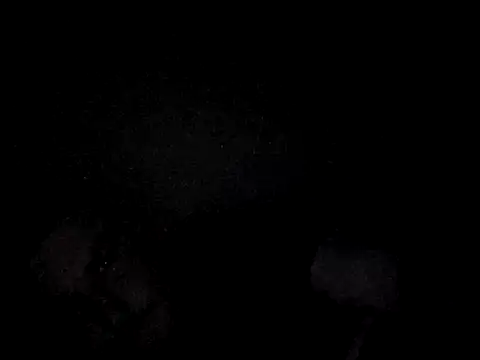 Foxtrott 242 online show from 09.08.25