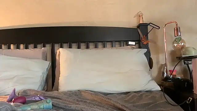 Snapshot of SophieStarShine chatting on 11.12.25 SophieStarShine online show from 11.12.25