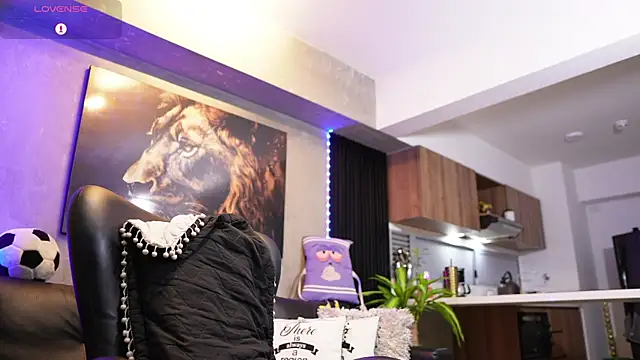 Snapshot of David_blake_ chatting on 02.20.26 David blake online show from 02.20.26