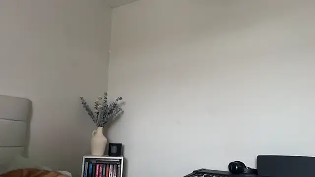 Snapshot of skyejde chatting on 03.01.26 skyejde online show from 03.01.26