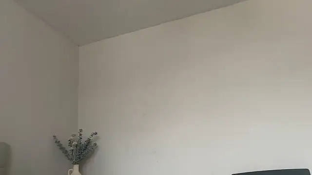 Snapshot of skyejde chatting on 03.12.26 skyejde online show from 03.12.26