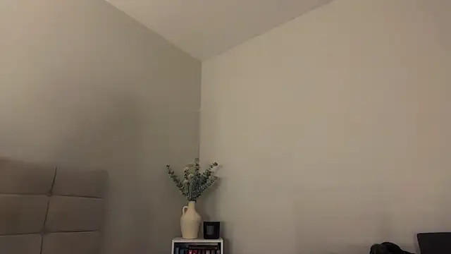 Snapshot of skyejde chatting on 04.05.26 skyejde online show from 04.05.26