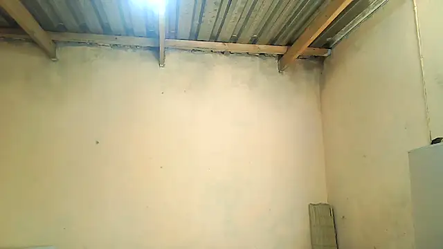 01applebottom online show from 11.27.25