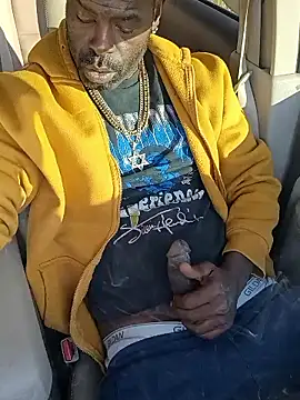 birdg online show from 01.17.26