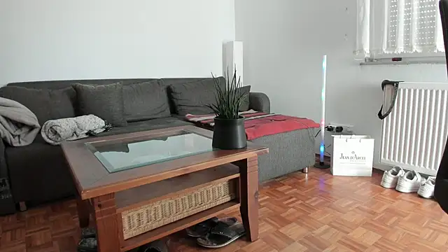 molicaremolicare online show from 11.13.25