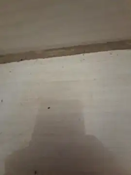 Snapshot of danieljv_ chatting on 12.20.25 danieljv online show from 12.20.25