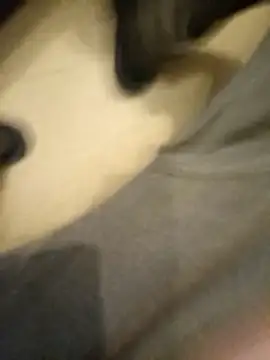 Snapshot of flo000031 chatting on 01.14.26 flo000031 online show from 01.14.26