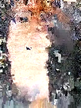 erinadarling79 online show from 09.25.25