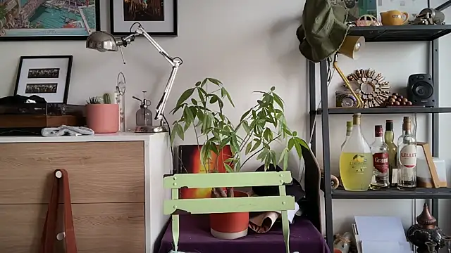 Snapshot of MikymikeBBWD chatting on 11.12.25 MikymikeBBWD online show from 11.12.25