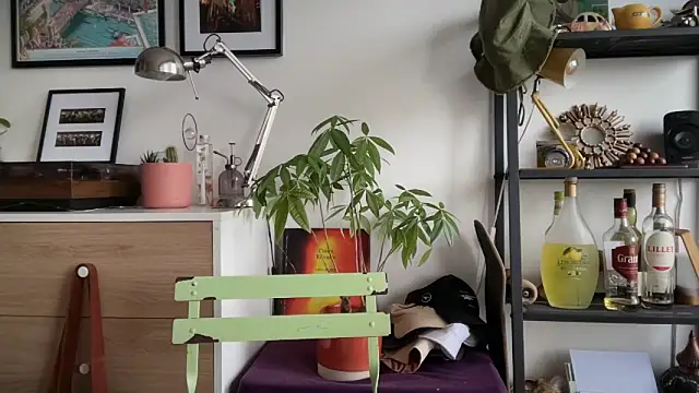 Snapshot of MikymikeBBWD chatting on 11.22.25 MikymikeBBWD online show from 11.22.25